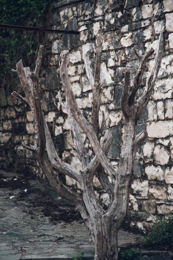 فيلا Cozy Traditional House In Kato Pedina- To Petrino المظهر الخارجي الصورة